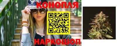 ALPHA-PVP Новозыбков