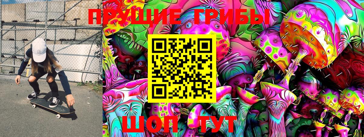Таганрог  Псилоцибиновые грибы Psilocybe  Вход с VPN 