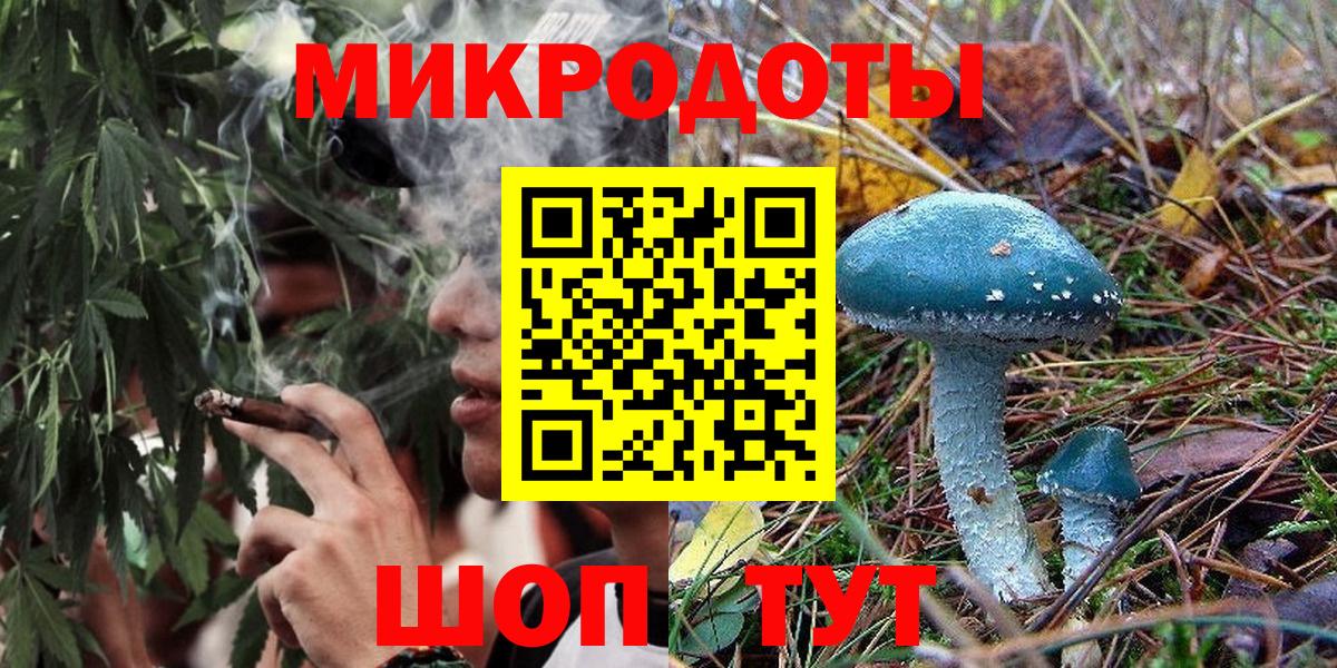 Псилоцибиновые грибы Cubensis Таганрог
